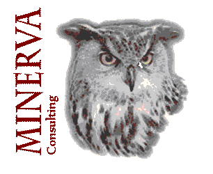 Minerva Consulting Ltd